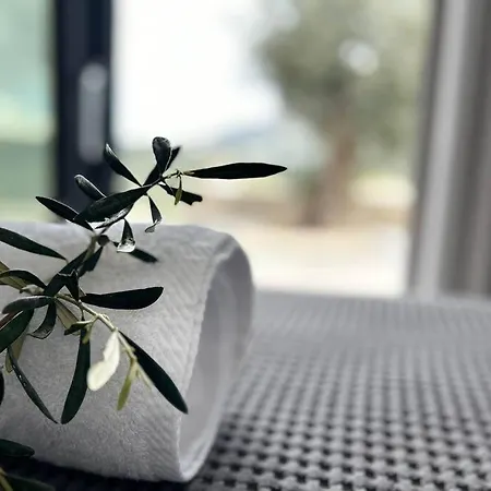 Vila Go-blue Star, Sea Sivota