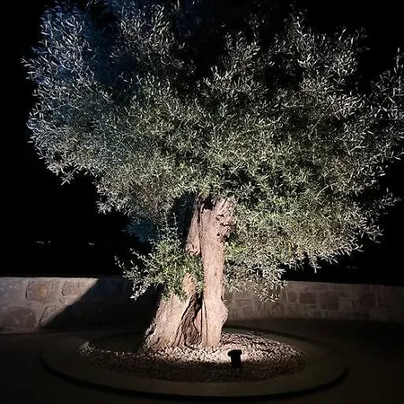 Vila Go-blue Star, Sea *