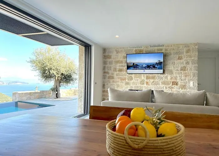 Go-blue Star, Sea Willa